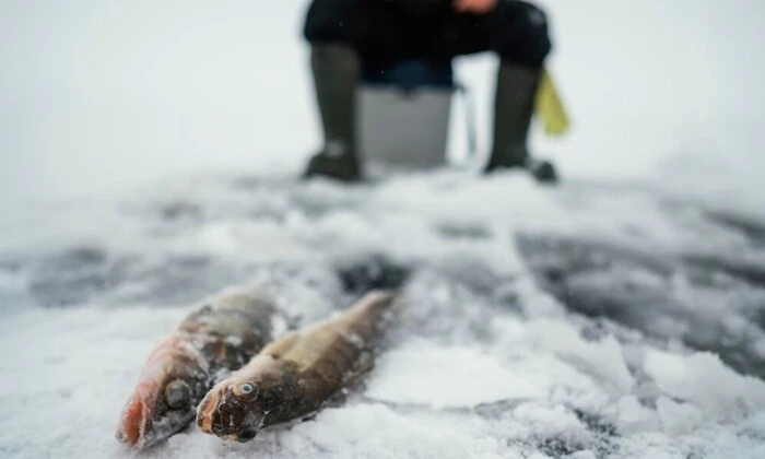 Календарь рыбака на февраль 2025