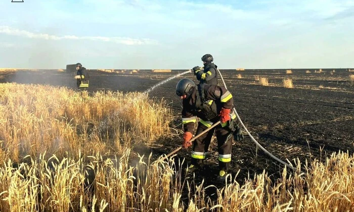 Пожежа на пшеничному полі в Харківській області