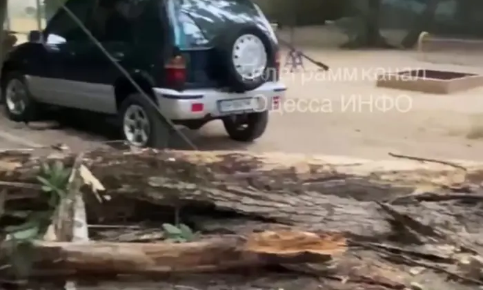 Песчаная буря накрыла Одессу