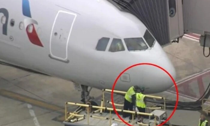 Літак повертається до аеропорту після зіткнення з птахами