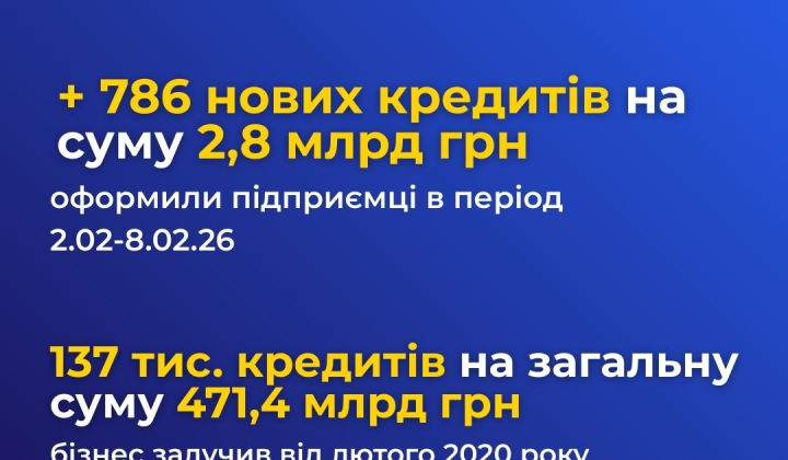Business investment chart: 786 loans for 2.8 billion hryvnias