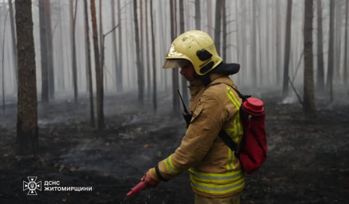 Пожежу в Поліському заповіднику на Житомирщині