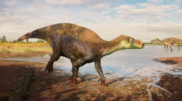 Britain Unveils Paludohadros proudlovii, a New Dinosaur Species from 125 Million Years Ago