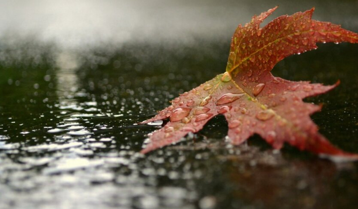 Діденко попереджає про небезпеку циклону