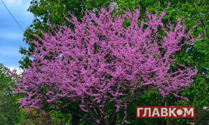 Погода на 23 квітня