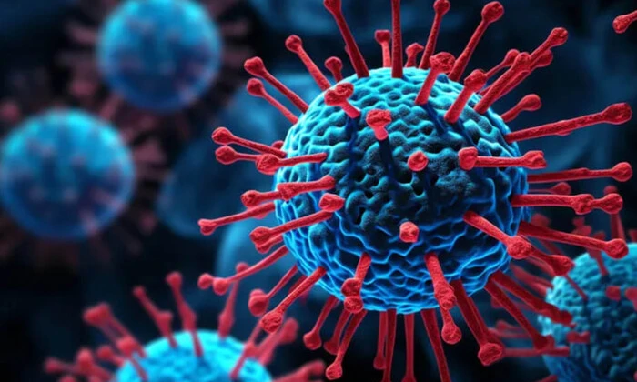 Universal tumor-killing cells