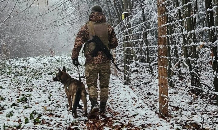 Прикордонники затримали ухилянтів на кордоні