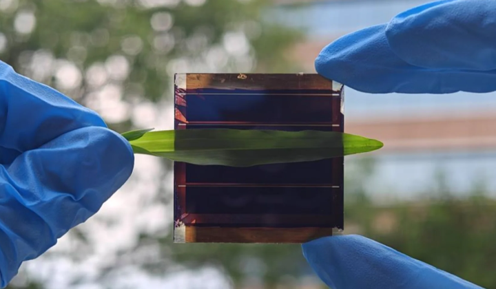 Solar panels become shade-resistant thanks to scientists from Hong Kong