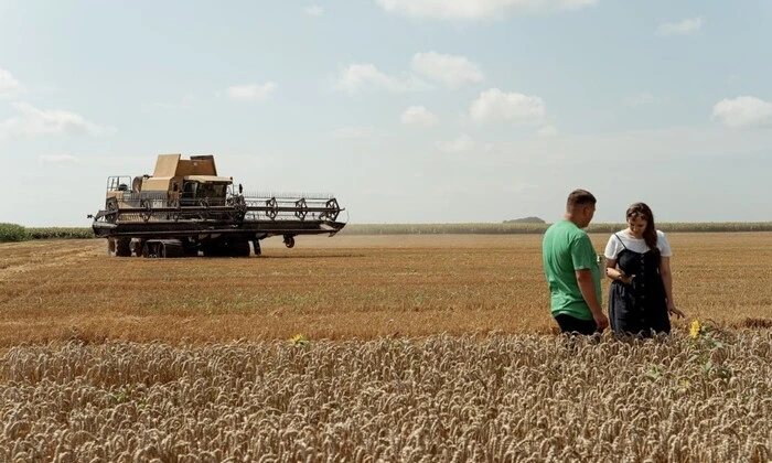 Сбор зерновых культур в Украине