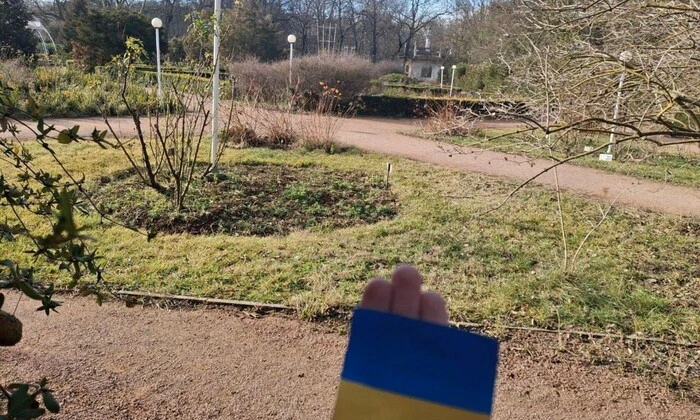 Движение «Желтая лента» протестует в Крыму