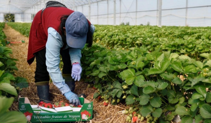 Українські заробітчани залишають Польщу