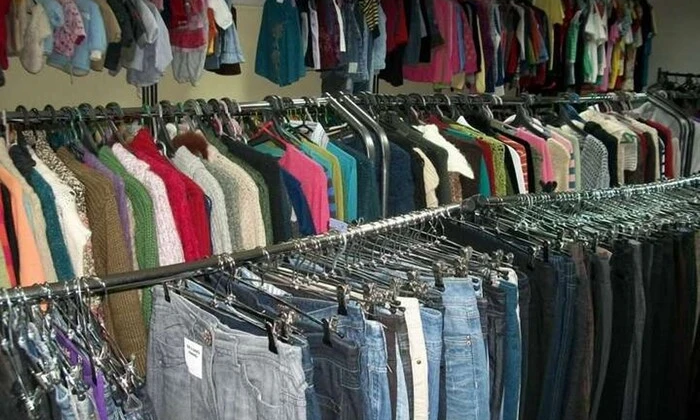 Жінка постраждала від комахи в одязі