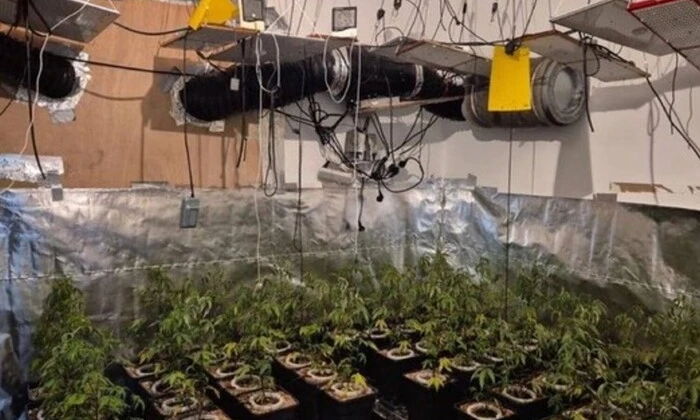 На фото нарколабораторія у радниці міністра