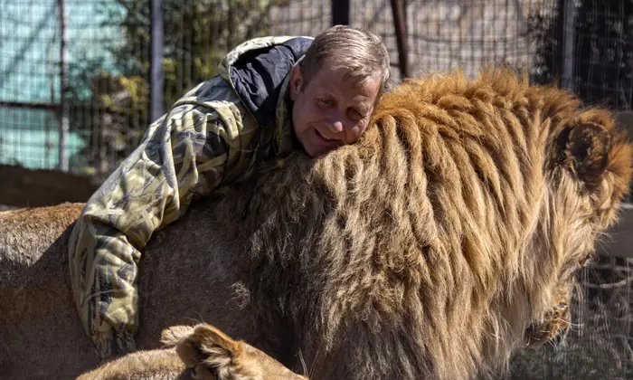 Лев напав на Олега Зубкова