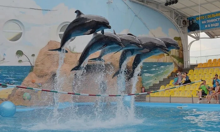 Арестованное здание популярного дельфинария в Одессе