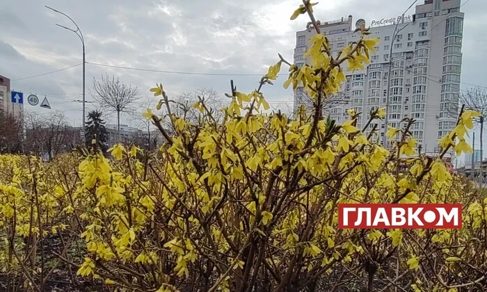 Сонячна хмарність над пейзажем