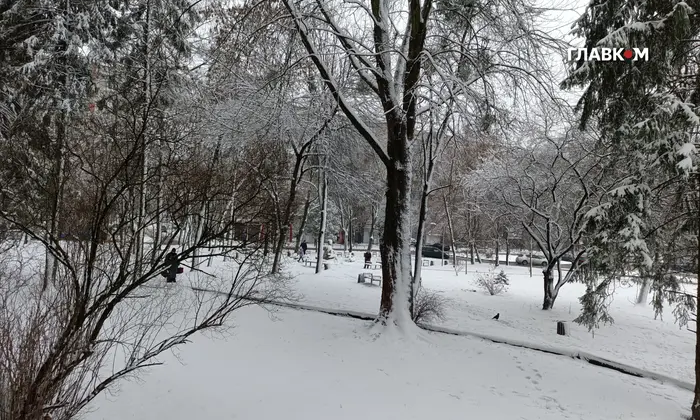 Снігопад у Львові (фото)