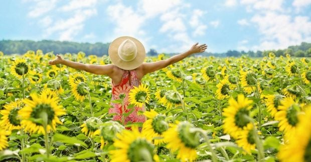 Сонячна погода на вихідних в Україні