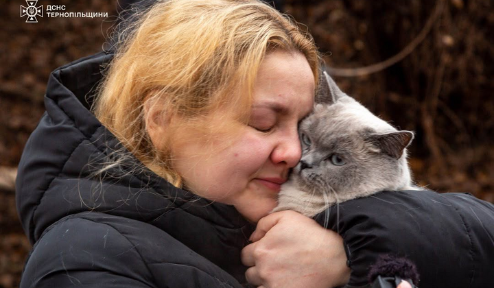 Коты найдены среди руин