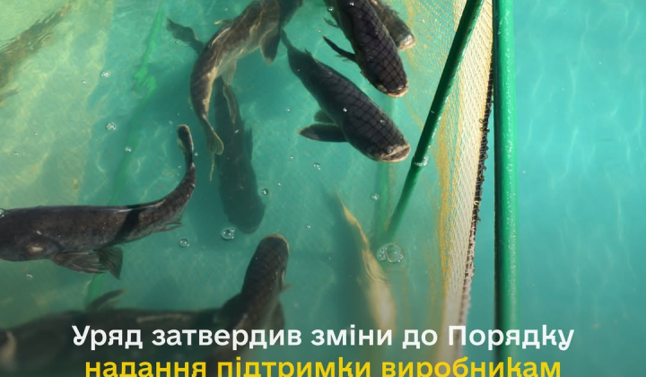 Рибні господарства на деокупованих територіях