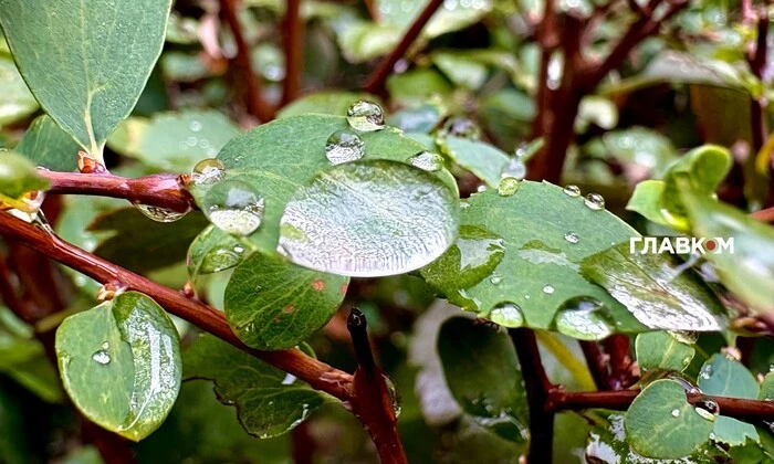 Погода на 4 жовтня 2025