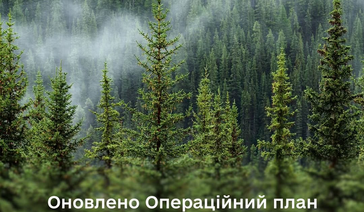 План управління лісами до 2035 року