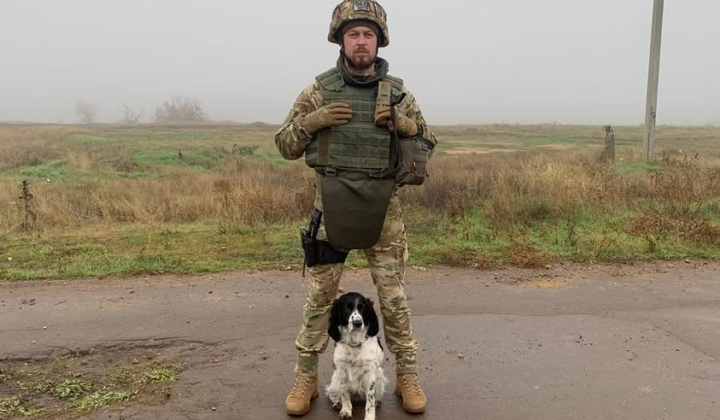 Службові собаки розміновують Херсонщину: історії Шеррі та Річарда