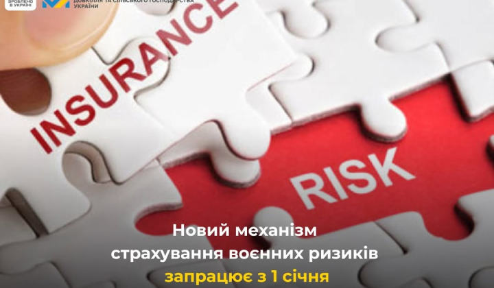 Insurance for businesses in Ukraine