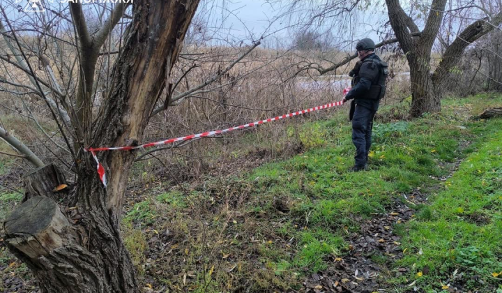 Робота саперів у Херсонщині