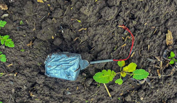 Сапери ДСНС знищили 4 вибухонебезпечні предмети