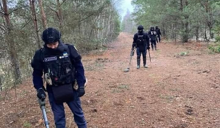 Сапери ДСНС очищають землю від мін