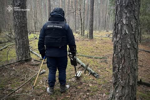 Саперы обезвредили 10 взрывоопасных предметов