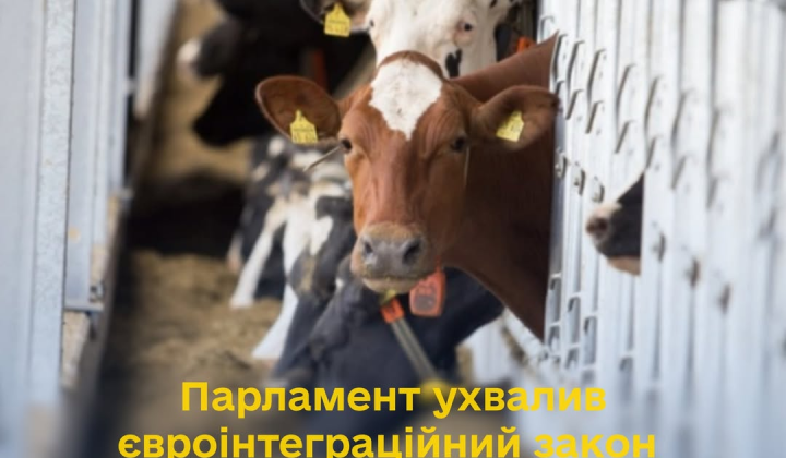 The Verkhovna Rada votes on the veterinary law