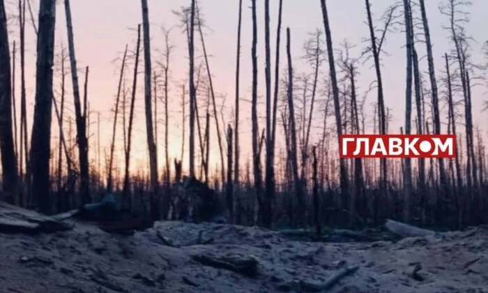 Українські бійці воюють у лісі