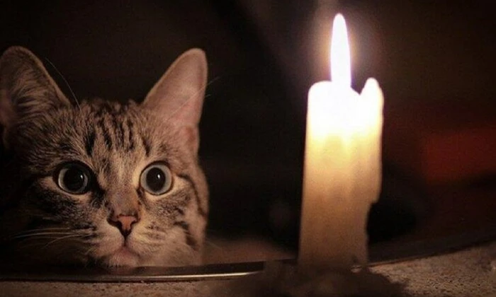 расчеты за свет на месяц