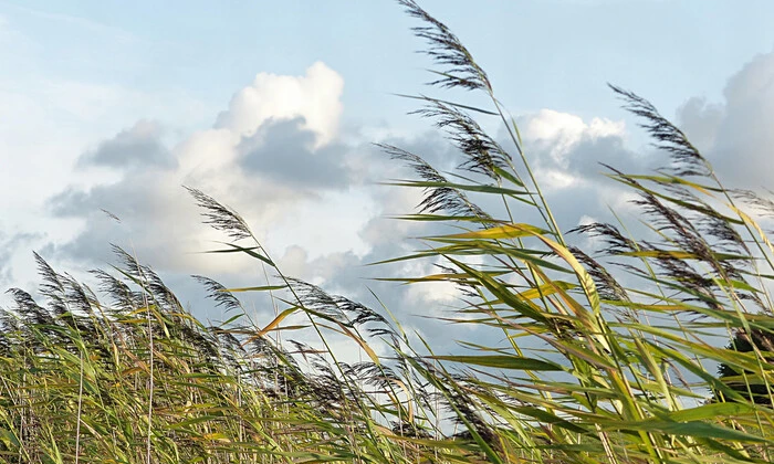 Штормовое предупреждение в Украине