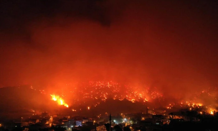 Лісові пожежі в Туреччині