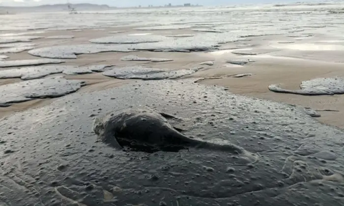 Аварія танкерів - нова екологічна криза