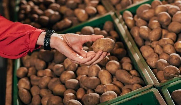 Графическое сравнение цен на овощи