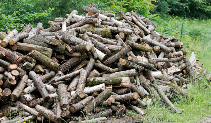 Дрова для отопления уже продаются