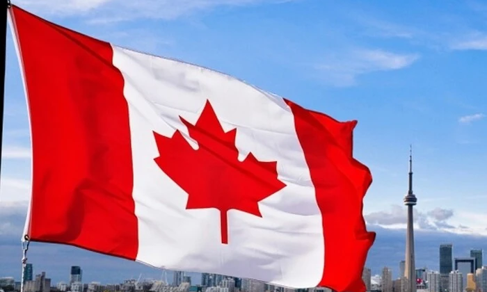 Флаги Украины и Канады