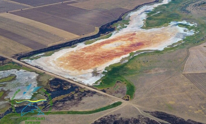 Вода перетворилася на сіль в Одещині