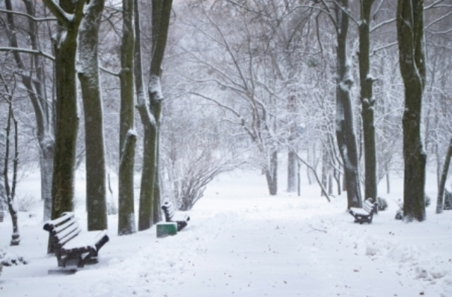 Early November Brings Sudden Chill Across Europe with Frost and Snow Extending Beyond Poland's Mountains