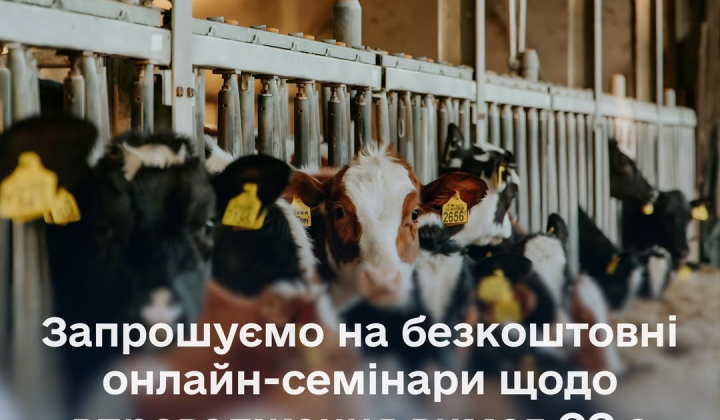 Farmers interact with cattle at a seminar