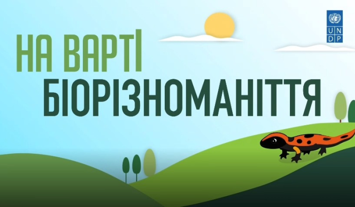 Ліси в Україні: важливість збереження біорізноманіття