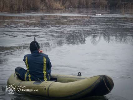 Рятувальники визволили лебедя з рибальської сітки