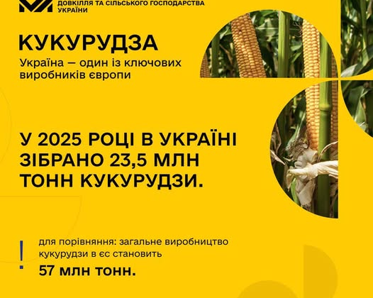 Рекордна врожайність зерна в Україні