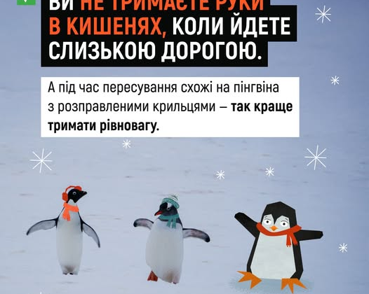 Penguins - masters of safe stepping on ice