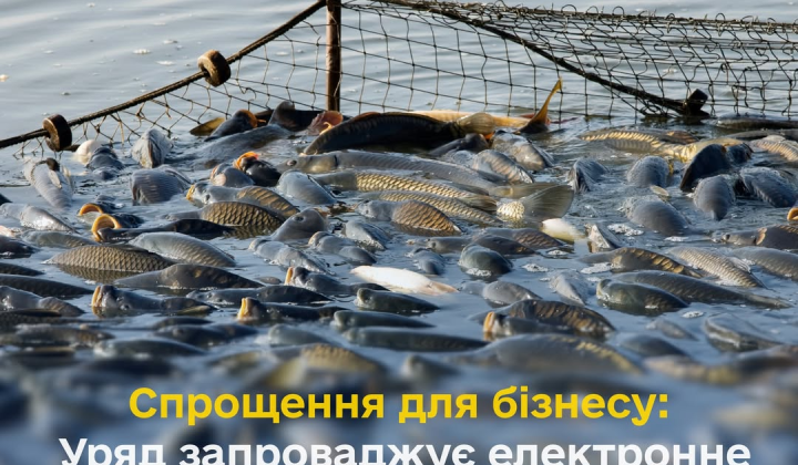 Fishing for business in electronic declaration