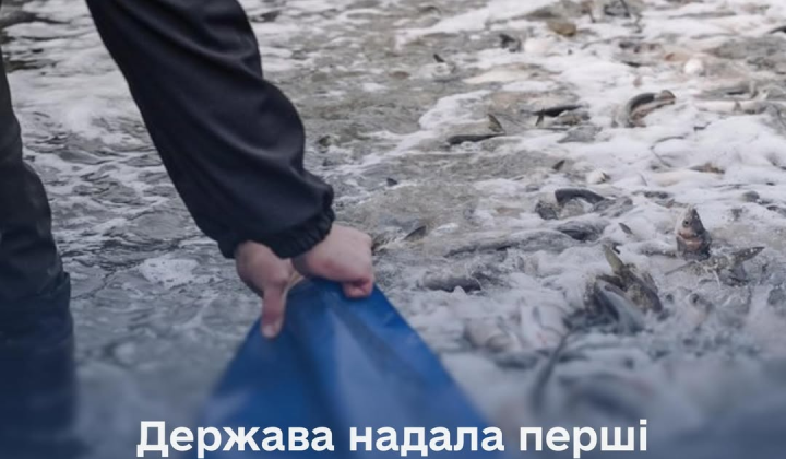 Payments to fish farming enterprises in Ukraine